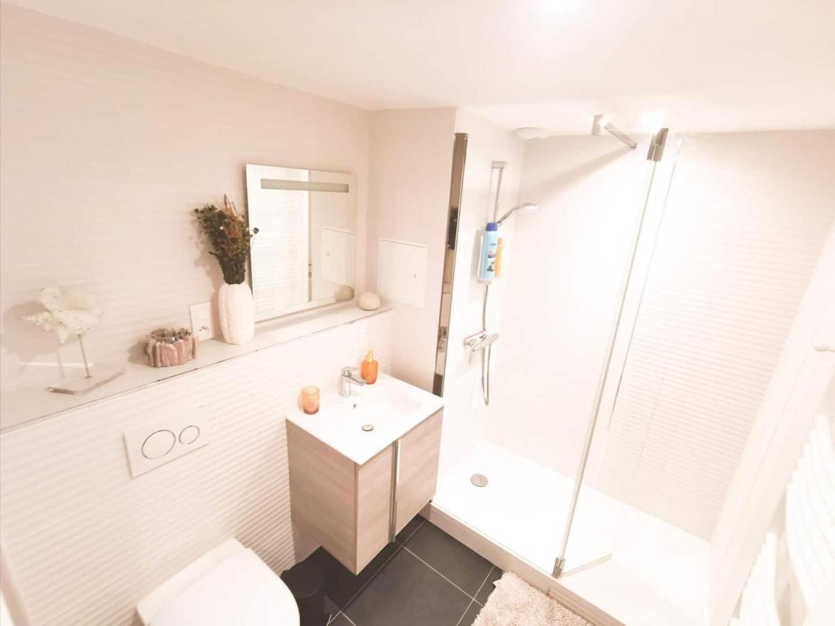 Appartement Cosy En Hypercentre - Le Petit Jules Dijon Exterior foto